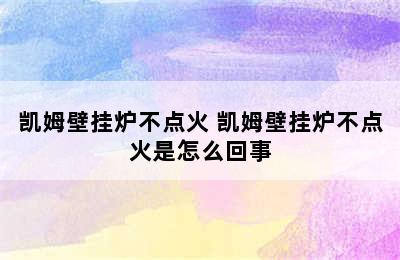 凯姆壁挂炉不点火 凯姆壁挂炉不点火是怎么回事